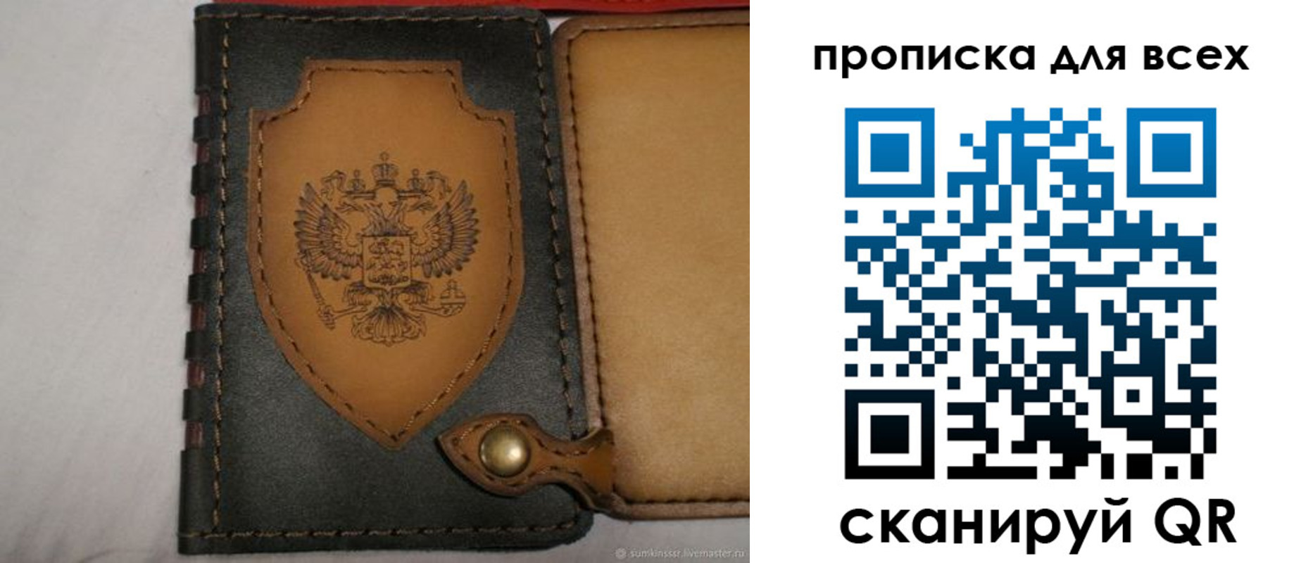 прописка для школы в Ясном